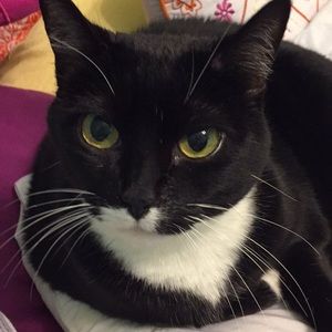 Meet your Posher, Debbie